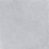 Terravito Allino voor wand- en vloertegel - 120x120cm - 9mm - gerectificeerd - Grijs pearl SW1122738
