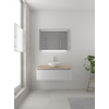 Bruynzeel Giro badmeubelset 49x100x46cm 1 wasbak 1 lade met spiegel met softclose composite glans wit SW384303 Bruynzeel Giro badmeubelset 49x100x46cm 1 wasbak 1 lade met spiegel met softclose composite glans wit SW384303