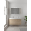 Bruynzeel Box badmeubelset 120x45cm 2 kraangaten 1 wasbak 2 lades met spiegelkast met softclose composite bardolino SW383982 Bruynzeel Box badmeubelset 120x45cm 2 kraangaten 1 wasbak 2 lades met spiegelkast met softclose composite bardolino SW383982