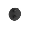Crosswater Crossbox Lazo douchekraan - geschikt voor 2 functies - thermostatisch - gecoat zwart mat SW956211