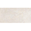 Ceralto Palazzo Vein Vloertegel - 120x60cm - 9.5mm - gerectificeerd - Everwhite SW1242770