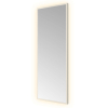 Hotbath &MORE Spiegel - 30x80cm - direct en indirect LED - color changing - dimbaar - met afstandsbediening - geborsteld RVS 316 SW1246043