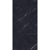 ÉCHANTILLON Terravito Dareno Carrelage de sol et de mur - 60x120cm - rectifié - brillant Noir SW1221533