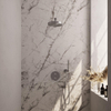 BRAUER Stripe Douche de tête thermostatique encastrée - 3 voies - ronde - SET 37 - pomme de douche 25cm - bras mural droit - douchette sur barre - flexible de douche - coude de raccordement mural - finition PVD brossée couleur inox SW1435080