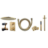 Wiesbaden Caral one-pack inbouwthermostaatset rond type 403 geborsteld messing (goud) 30cm SW385037 Wiesbaden Caral one-pack inbouwthermostaatset rond type 403 geborsteld messing (goud) 30cm SW385037