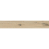 ÉCHANTILLON Terravito Novaro Honey 25x150 rett SW1221655