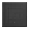 Hansgrohe Raindance E Douchekop SW1382829
