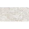 Ceralto Alabro Vein Carrelage de sol - 60x120cm - 6.0mm - rectifié - Blanc SW1117021