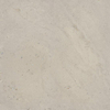 Ceralto Elaris Oak Vloertegel - 120x120cm - 9.0mm - gerectificeerd - Sabbia grigio SW1242839