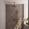 BRAUER Stripe Thermostatische Inbouw Regendouche - 3-weg - rond - SET 45 - 25cm douchekop - plafondarm - staaf handdouche - doucheslang - geïntegreerde glijstang - koper geborsteld PVD SW1434945