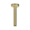 IVY douchearm - 15cm - plafond - PVD - geborsteld mat goud SW1031709