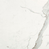 Italgraniti Marble Experience Vloer- en wandtegel 60x60cm 9.5mm gerectificeerd porcellanato Statuario SW368630