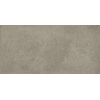 Ceralto Tivoli Accent Carreau de sol - 29.7x59.7cm - 9.0mm - rectifié - gris foncé SW1175035