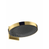 Hansgrohe RainFinity Hoofddouche wand rond - 36cm - goud SW451545