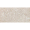 SAMPLE Ceralto Regalia Luxe 300X600 Elemental Harmonie Mat SW1122949