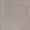 Ceralto Ivarno Core Carreau de sol - 120X120 - 6.5mm - mat - argent SW1578992