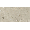 Modano Palma Lura Wandtegel - 60x120cm - 9mm - decor - gerectificeerd - Sand mat SW1529376