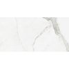 ÉCHANTILLON Terravito Alpuro carreau mural et de sol - 60x120cm - 10mm - Carré - rectifié - Aspect marbre - Blanc/noir brillant SW735966