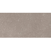 Ceralto Ivarno Core Carreau de sol - 30X60 - 10mm - mat - argent SW1578952