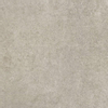 Terravito Orvico Grey wand- en vloertegel - 60x60cm - 10mm - Vierkant - gerectificeerd - Natuursteen look - mat grijs SW484832