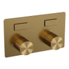 BRAUER Gold Carving - 2 functies - inbouwthermostaat - drukknoppen - in/afbouwdelen - goud geborsteld PVD SW925618