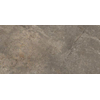 Douglas jones Marbles Carrelage de sol 300X600 Wells Moka 9,5mm Brillant Rectifié SW854305