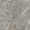 Ceralto Alabro Vein Vloertegel - 60x60cm - 10.0mm - gerectificeerd - Gris SW717485