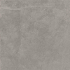 SAMPLE Ceralto Regalia Luxe 600X600 Fusion Brig.Grey Nat. SW1122952