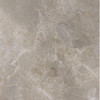 ÉCHANTILLON Ceralto Briano Accent Carrelage sol et mur 100x100cm 6mm rectifié R10 grès cérame Palladium Grey SW912635