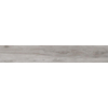 SAMPLE EnergieKer Antiqua vloer- en wandtegel gerectificeerd hout look Grigio SW735926