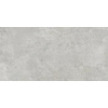 Baldocer cerámica acero 60x120 rectifié carrelage sol et mur gris mat SW679809