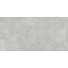 ÉCHANTILLON Terravito Arluna carreau mural et de sol - 60x120cm - 9.5mm - Rectangle - rectifié - effet marbre - Gris Mat SW735788