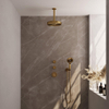 BRAUER Stripe Thermostatische Inbouw Regendouche - SET 06 - 25cm douchekop - plafondarm - 3-standen handdouche - doucheslang - wandaansluitbocht - goud geborsteld PVD SW1434837