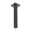 Hansgrohe Raindance alive Plafondaansluiting E - 300mm - geborsteld zwart chroom (antraciet) SW1388127
