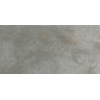 ÉCHANTILLON Ceralto Forge 300X600 Temper Argent SW1122940