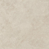 ÉCHANTILLON Ceralto Fornoce dalle de sol 120X120cm Dust 9mm Mat Ret.R10 SW1449449