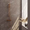 Brauer Copper Edition Douchekraan opbouw - glijstang - 1 functie - 2 gladde knoppen - handdouche staaf 1 stand - PVD - geborsteld koper SW1164703