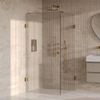 BRAUER Void Carving Cabine de douche - 100x100x200cm - porte battante - revêtement verre - réversible - verre clair - PVD or brossé SW1418082