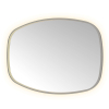 Hotbath &MORE Spiegel in aluminium frame / contour - 80x120cm - inclusief direct & indirect LED - spiegelverwarming - color changing - dimbaar - dottless - met afstandsbediening - PVD - geborsteld gunmetal antraciet SW1246885
