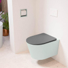 Mondiaz LAVIE hangtoilet – spoelrandloos – 36 x 53 cm – met softclose zitting – Greey (lichtgroen/grijs), zitting Dark grey (grijs) SW1208601
