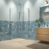 Sealskin Inc. Porte de douche pivotante et paroi latérale 100x100x200cm avec panier de douche verre de sécurité clair 8mm avec revêtement anticalcaire Argent brillant SW795485