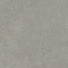 ÉCHANTILLON Terravito Elvano Carrelage parquet céramique mural et de sol - 120x120cm - rectifié - Greige SW1579543