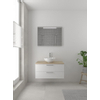 Bruynzeel Combo badmeubelset 90x45cm 1 wasbak 2 lades met spiegel met softclose ceramic mat wit SW383524 Bruynzeel Combo badmeubelset 90x45cm 1 wasbak 2 lades met spiegel met softclose ceramic mat wit SW383524