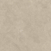 ÉCHANTILLON Ceralto Sylvaro Grain Carreau de sol - 60x60cm - 9.0mm - rectifié - Crète SW1557861