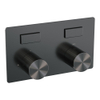 BRAUER Stripe 2-weg Inbouwthermostaat - drukknoppen - inclusief inbouwdeel - geborsteld gunmetal PVD SW1434981