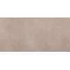 ÉCHANTILLON Ceralto Orsini Studio Carreau de sol - 30x60cm - 8.5mm - Gris SW1557820