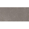 Imola Blox Vloertegel - 30X60 - 10mm - mat - grijs SW1578941