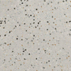 Ceralto Granulo Terrazzo Carrelage de sol - 59.7x59.7cm - 10.5mm - gris SW1471184