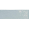 ÉCHANTILLON Terravito Elvella Pour carreau mural - 20x6.5cm - 8mm - Bleu SW1221386