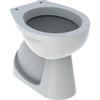 Geberit Publica tollet met holle bodem verticale afvoer keramiek wit SW481972